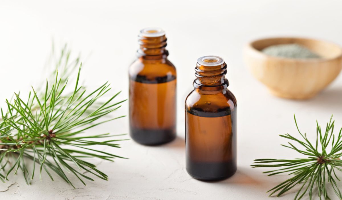Pine and evergreen fragrance oils